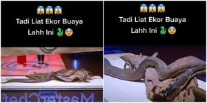 Peserta Kompetisi Masak Melongo Lihat Bahan di Mistery Box yang Harus Diolah
