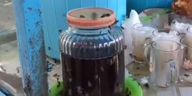 Segarnya Es Kelapa Madu, Kerumunan Lebah Jadi Daya Tarik
