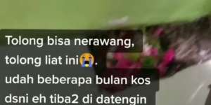 Viral Penghuni Kos-kosan Sering Mimpi Hamil, Ternyata Ada Kuburan Janin di Kamar