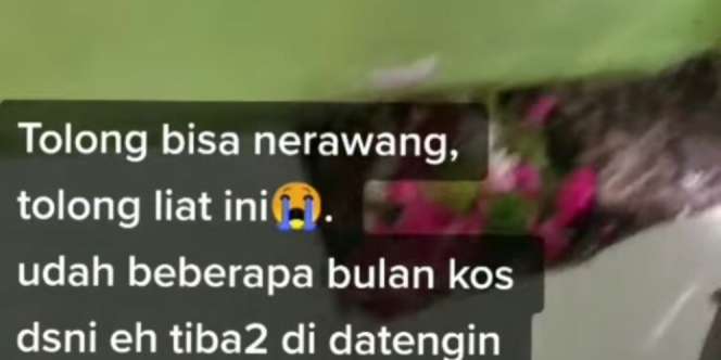 Viral Penghuni Kos-kosan Sering Mimpi Hamil, Ternyata Ada Kuburan Janin di Kamar