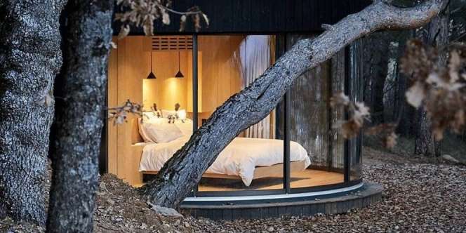 Desain Kabin Mungil Mewah, Bisa Ditaruh Tengah Hutan