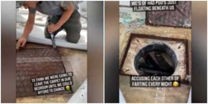 Kerap Cium Bau Busuk, Si Cewek Syok Lihat di Balik Karpet Lantai Kamar Tidur