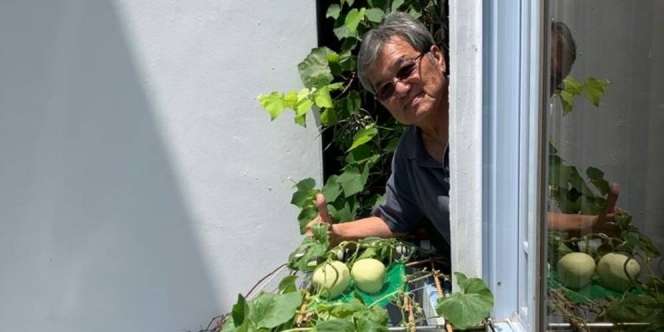 Cerita Sukses Kakek Berkebun di Balkon, Buahnya Bisa Tumbuh Segar