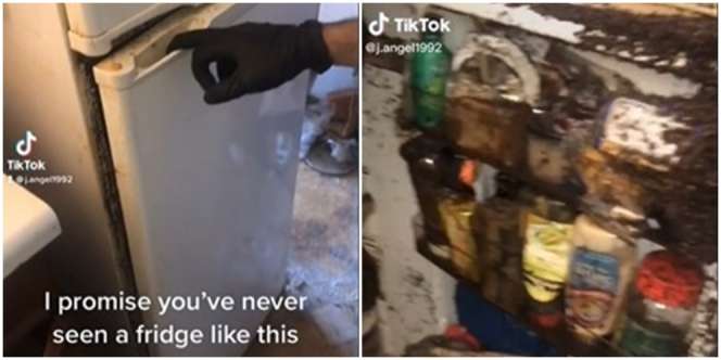 Dari Luar Tampak Biasa, Saat Dibuka Bagian Dalam Kulkas Bikin Perut Mulas