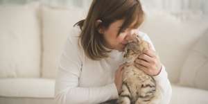 5 Tips dan Trik Mendekatkan Diri dengan Kucing