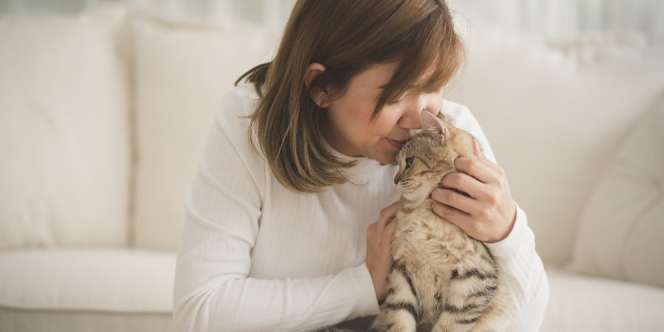 5 Tips dan Trik Mendekatkan Diri dengan Kucing