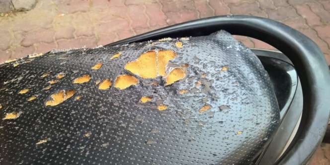 Jangan Cuma Wajah, Jok Motor Juga Butuh Losion Biar Tak Gampang Rusak