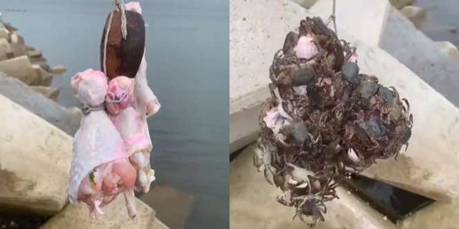 Daging Ayam Dimasukkan ke Celah Batu Tepi Pantai, Lihat Jadinya Saat Diangkat