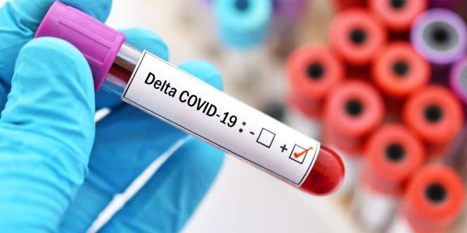 Lembaga di AS Dituding Danai Riset Virus Corona di China