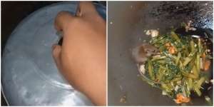 Kaget, Pas Mau Makan Tiba-tiba Ada Tikus di Dalam Wajan