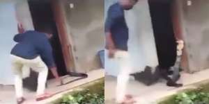 Video Detik-Detik Menegangkan Seorang Pria Disambar King Cobra 4,2 Meter