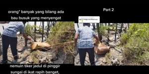 Ditemukan Gulungan Tikar Bau Busuk di Tepi Sungai, Pas Dibuka Isinya Mengejutkan