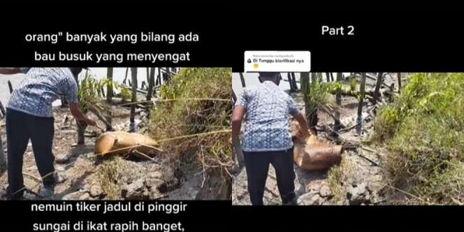 Ditemukan Gulungan Tikar Bau Busuk di Tepi Sungai, Pas Dibuka Isinya Mengejutkan