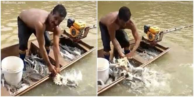 Kepala Kambing Dicelupkan ke Sungai, Lihat yang Terjadi Auto Bikin Melongo