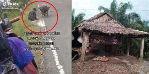 Miris! Demi Bisa Makan, Kakek Tua Ini Rela Pungut Beras yang Tercecer di Jalanan