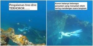 Cerita Tegang Penyelam di Bangkai Kapal Berumur 80 Tahun, Konon Ada Suara Tangis