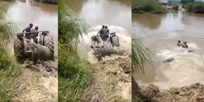 Traktor 'Amphibi' Bisa Menyelam dan Mesin Tidak Mati Bikin Netizen Bingung