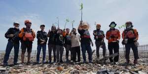 Peringati WDC 2021, DMC & Tabur BankSa Tanam 1000 Bakau - Daur Ulang Sampah