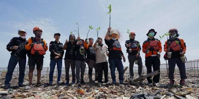 Peringati WDC 2021, DMC & Tabur BankSa Tanam 1000 Bakau - Daur Ulang Sampah