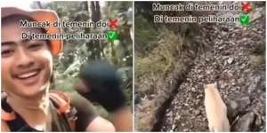 Viral Pendaki Bawa Kucing Oren Peliharaan Naik Gunung, Warganet Auto Takjub