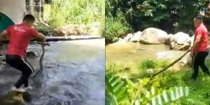 Ular Piton Muncul di Tempat Wisata, Bikin Geger Pengunjung