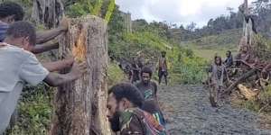 Haru, Suku Wano Papua Gotong Royong Buka Jalan demi Anak Bisa Sekolah