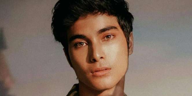Jarang yang Tahu, Cinta Brian Pesinetron di Buku Harian Seorang Istri Punya Adik Ganteng