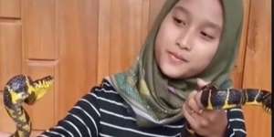 Ngeri, Gadis Ini Pelihara Puluhan Ular, Aksinya Bikin Merinding!