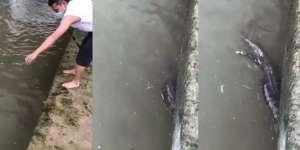 Niatnya Mancing Ikan di Sungai, Malah Dapat Bonus Anak Buaya