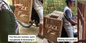 Ujian Pilu Pedagang Ayam Keliling Tak Sadar Pintu Kandang Terbuka Semua