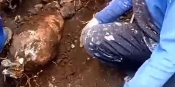 Heboh Penemuan Dikira Pocong, Ternyata Ini Aslinya