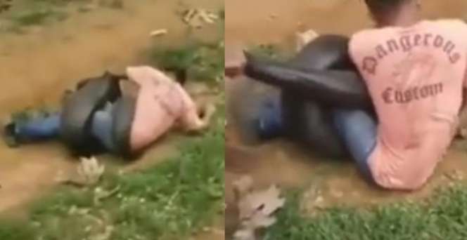 Detik-detik Menegangkan Pria Dibelit Ular Anaconda Lebih Besar dari Paha Orang Dewasa