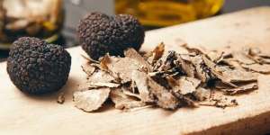Truffle, Si Jamur Mahal yang Banyak Dicari