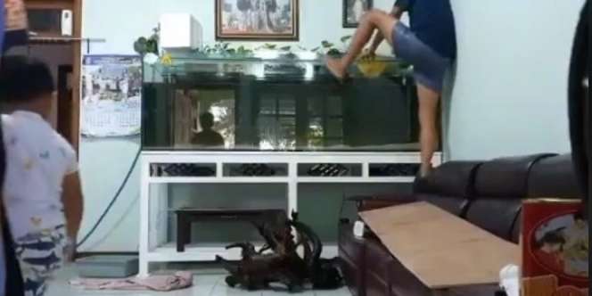 Gabut Imbas PPKM Diperpanjang Terus, Remaja ini Berenang di Akuarium Rumah