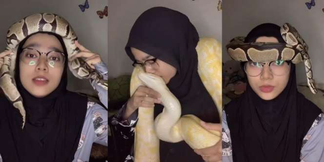 Nggak Ada Takutnya! Gadis Ini Main Sama Ular Piton Raksasa, Jadikan Turban di Kepalanya