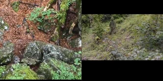 Viral Video Penyamaran TNI, Lebih Jago Dari Bunglon