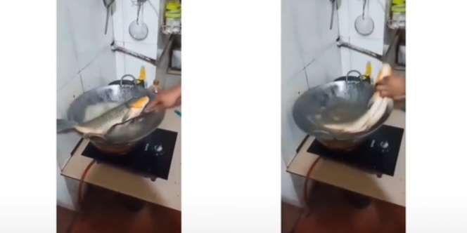 Sudah Dibedah, Ikan `Kabur` dari Penggorengan Saat Mau Dimasak
