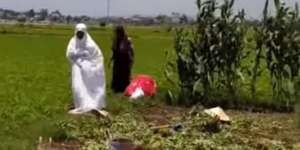 Masya Allah Ibu Petani Tetap Jalakan Kewajiban Sholat di Atas Pematang Sawah