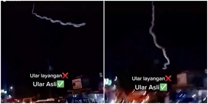 Video Ular Raksasa 'Terbang' Saat Malam Hari, Warga Geger