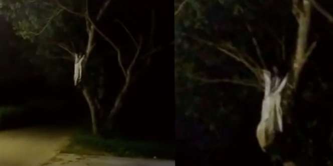 Heboh Video Kuntilanak Menggeleng, Respons Warganet Tak Terduga