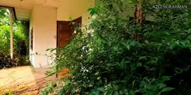 Bikin Bergidik! Penampakan Rumah Mewah Perabotan Lengkap Terbengkalai, Kini Jadi Sarang Ular Besar