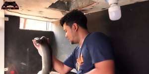 Momen Panji Petualang Nyaris Digigit Black Mamba KW, Lebih Mematikan dari King Kobra Garaga!