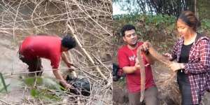 Susuri Sungai Cilandak, Panji Petualang Temukan Ular Predator Aneh, Sisiknya Kasar Kayak Biawak