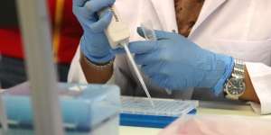 Dua Peneliti BRIN Masuk Top 2% World Ranking Scientists 2021