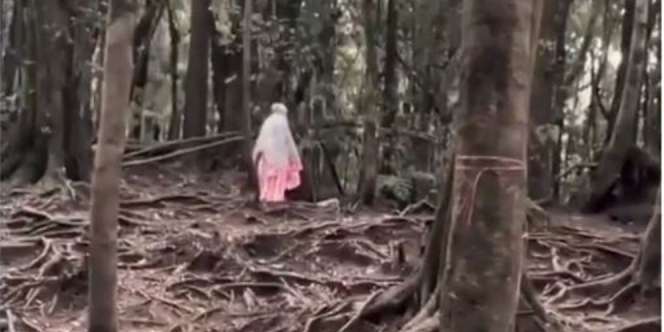 Bikin Adem, Pendaki Wanita Tetap Khusyuk Sholat Meski di Tengah Hutan