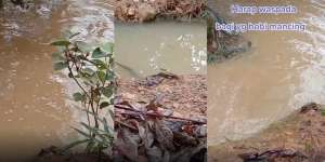 Parit Sempit di Tepi Rawa, Dilempar Kerikil yang Terjadi Selanjutnya Mengejutkan