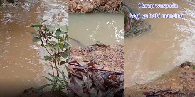 Parit Sempit di Tepi Rawa, Dilempar Kerikil yang Terjadi Selanjutnya Mengejutkan