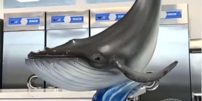 Chef Bikin Cokelat Berbentuk Paus Seberat 40 Kg 