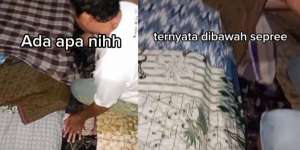Mau Tidur Ada yang Mengganjal di Bawah Seprai, Saat Diperiksa Jadi Jijik Melihatnya