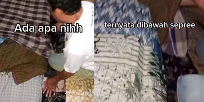 Mau Tidur Ada yang Mengganjal di Bawah Seprai, Saat Diperiksa Jadi Jijik Melihatnya